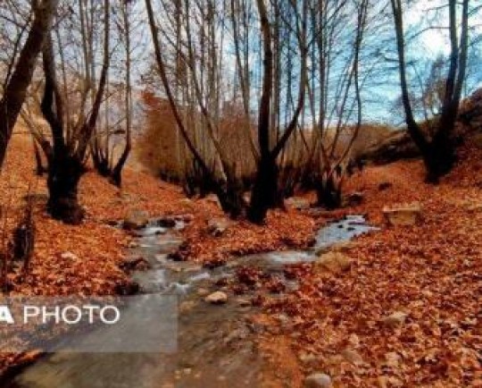 ایران زیباست؛ پاییز «تنگ گنجه ای»